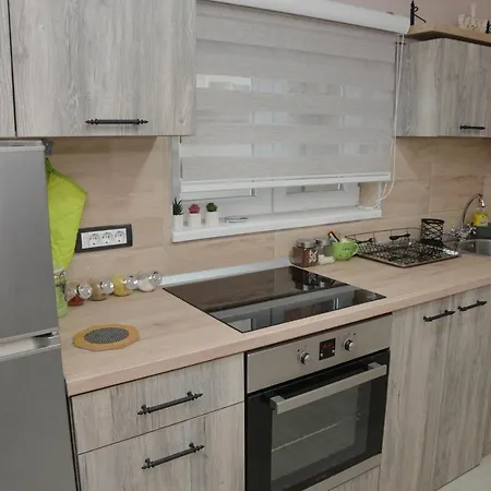 Milivojevic Apartment Soko Banja Exterior photo