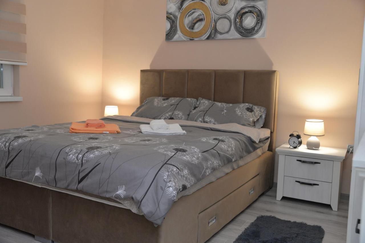 Apartment Milivojevic Soko Banja