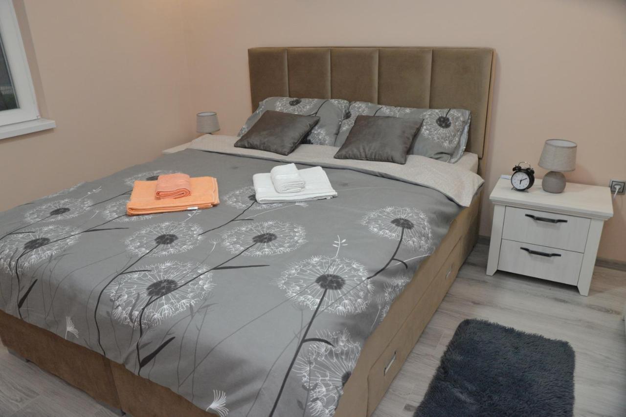 Apartment Milivojevic Soko Banja