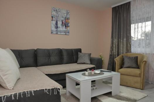 Apartment Milivojevic Soko Banja